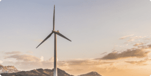 Global energy company improves information management while reducing costs