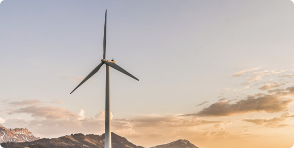 Global energy company