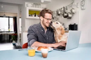 The Impact of Office 365 Compliance