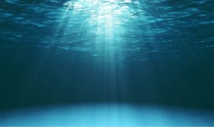 The importance and benefits of change management in digital transformations