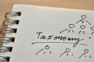 Determining the right Taxonomy
