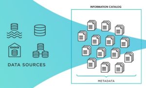 An Information Asset Catalog: Why Now?