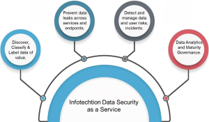 Data Security as a Service: Elevating Your Data Management Strategy